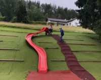 09